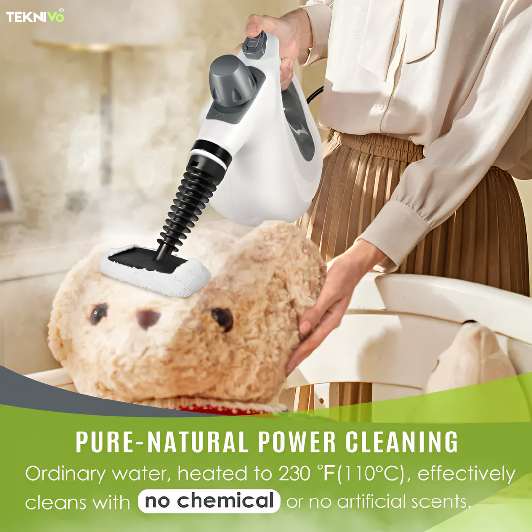 Teknivo PureSteam™